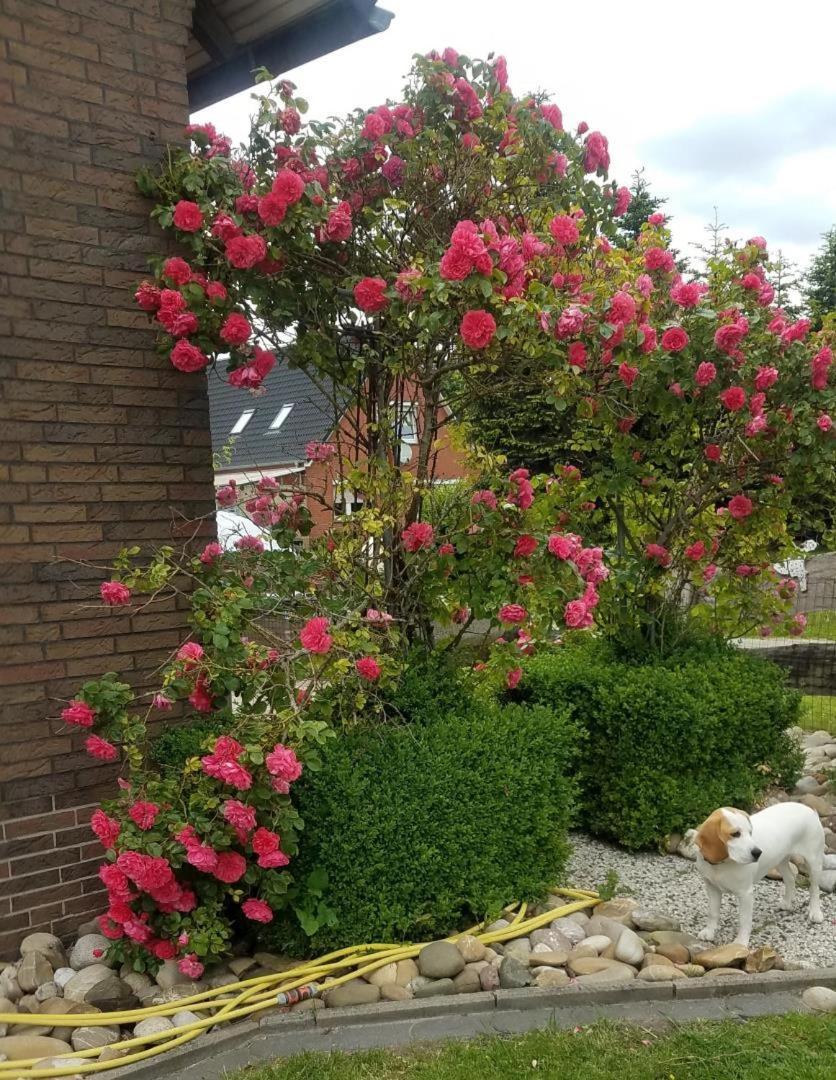 Ferienwohnung Aurich Ostfriesland المظهر الخارجي الصورة